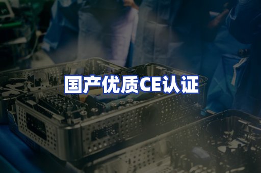 国产优质CE认证